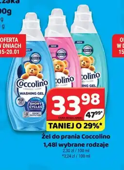 Delfin Coccolino żel do prania oferta