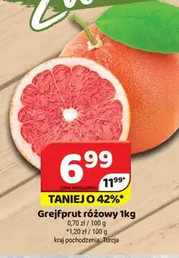 Delfin Grejpfrut różowy oferta