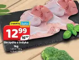 Delfin Skrzydło z indyka oferta