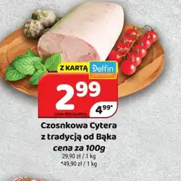 Delfin Czosnkowa Cytera oferta