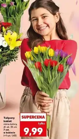 Kaufland Tulipany oferta