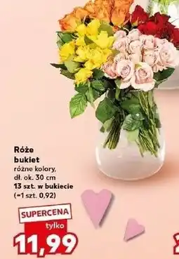 Kaufland Róże oferta