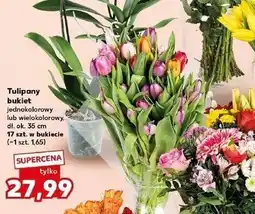 Kaufland Tulipany 35 cm oferta