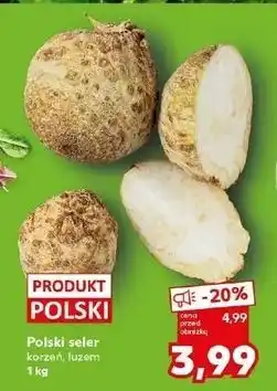 Kaufland Seler korzeń polska oferta