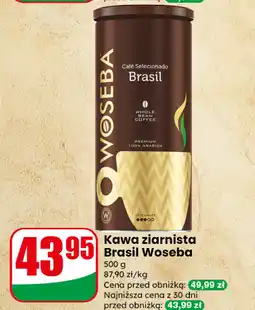 Dino Kawa ziarnista Brasil Woseba oferta