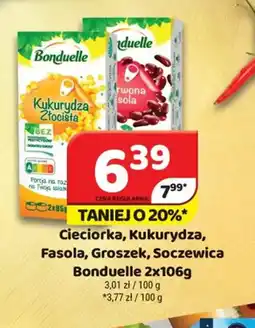Delfin Bonduelle warzywa oferta