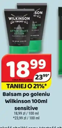Delfin Wilkinson Balsam po goleniu oferta