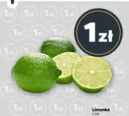 Netto Limonka oferta