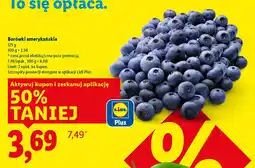 Lidl Borówki amerykańskie oferta