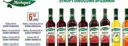 AT Herbapol Syrop owocowy oferta