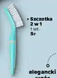 Netto Szczotka 2 w 1 oferta