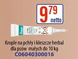AT Krople na pchły i kleszcze oferta