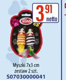 AT Myszki oferta