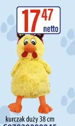 AT Kurczak duży oferta