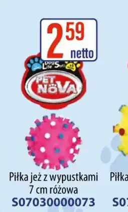 AT PET NOVA piłka jeż oferta