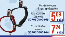 AT Obroża nylonowa dla psa oferta