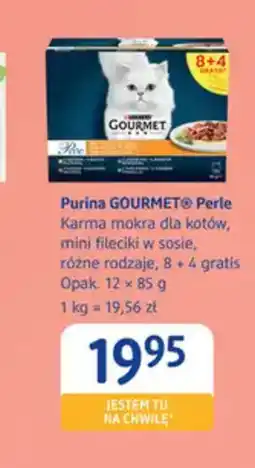 dm drogerie markt Purina GOURMET Perle Karma dla kotów oferta