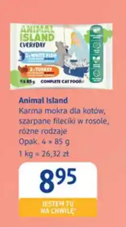 dm drogerie markt Animal Island Karma mokra dla kotów oferta