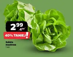 Netto Sałata masłowa oferta