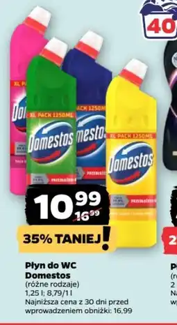 Netto Domestos Płyn do WC oferta