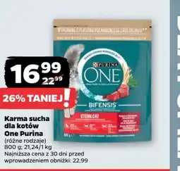 Netto Purina One karma sucha dla kotów oferta