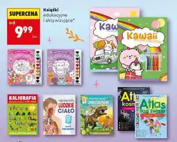 Biedronka Książki edukacyjne i aktywizujące oferta