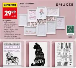 Biedronka Obraz lub ramka oferta