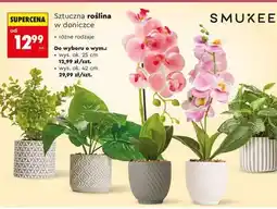 Biedronka Sztuczna roślina w doniczce oferta