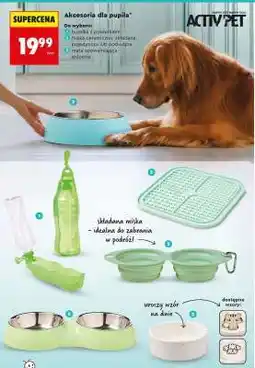 Biedronka Akcesoria dla pupila oferta