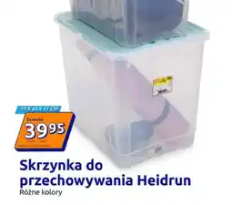 Action Skrzynka do przechowywania Heidrun oferta