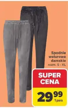 Carrefour Spodnie welurowe damskie TEX oferta