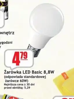 Sezamek Zarówka LED Basic 8,8W oferta