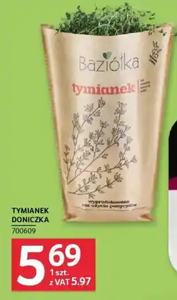 Selgros Baziółka Tymianek Doniczka oferta