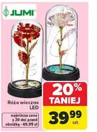 Carrefour Róża wieczna LED JUMI oferta