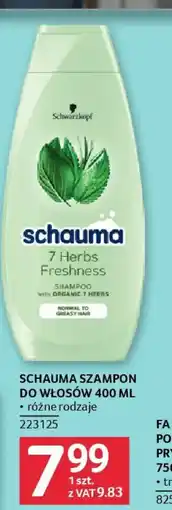 Selgros Schauma szampon do włosów oferta