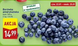ALDI Borówka amerykańska oferta