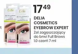 Sekret Urody Delia Eyebrow Expert oferta