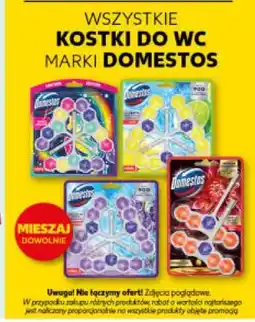 Kaufland Kostki do WC marki Domestos oferta