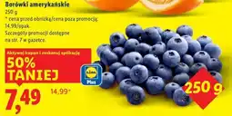 Lidl Borówki amerykańskie oferta