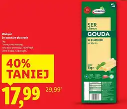 Lidl Mlekpol Ser gouda w plastrach oferta