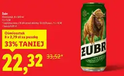 Lidl Piwo Żubr oferta