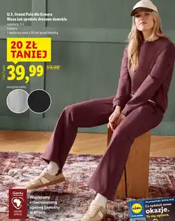 Lidl U.S. Grand Polo dla Esmara - Bluza lub spodnie dresowe damskie oferta