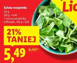 Lidl Sałata roszponka oferta