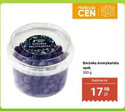 Biedronka Borówka amerykańska oferta