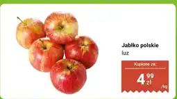 Biedronka Jabłko polskie Jonagold luz oferta