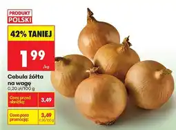 Biedronka Cebula żółta na wagę oferta