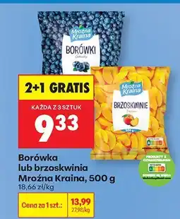 Biedronka Borówka lub brzoskwinia Mroźna Kraina oferta