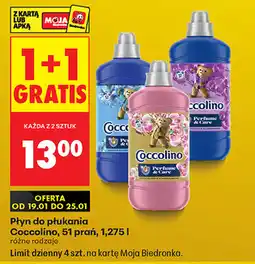 Biedronka Płyn do płukania Coccolino, 51 prań oferta