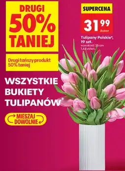 Biedronka Tulipany Polskie, 19 szt oferta