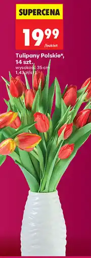 Biedronka Tulipany Polskie, 14 szt oferta